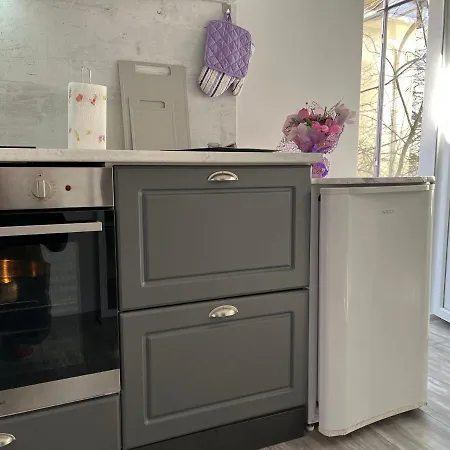 Purple Apartamento
