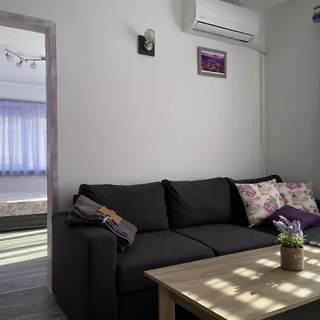 Apartment Purple