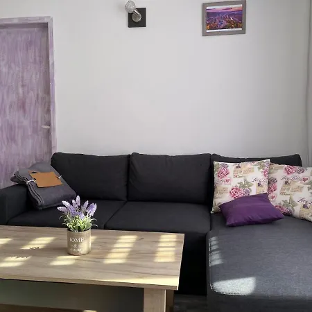 Apartment Purple *