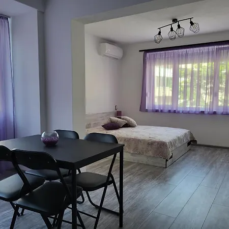 Apartment Purple