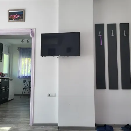 Purple Apartamento *