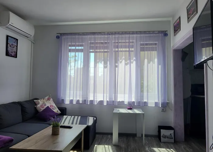 Purple * Велико Търново